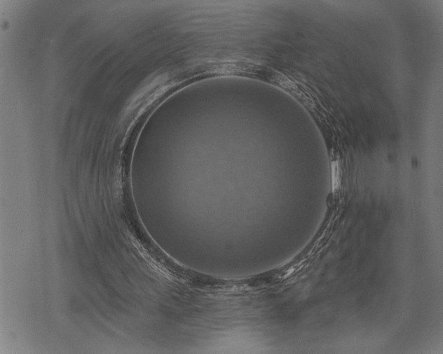 X0000075830243200609221647