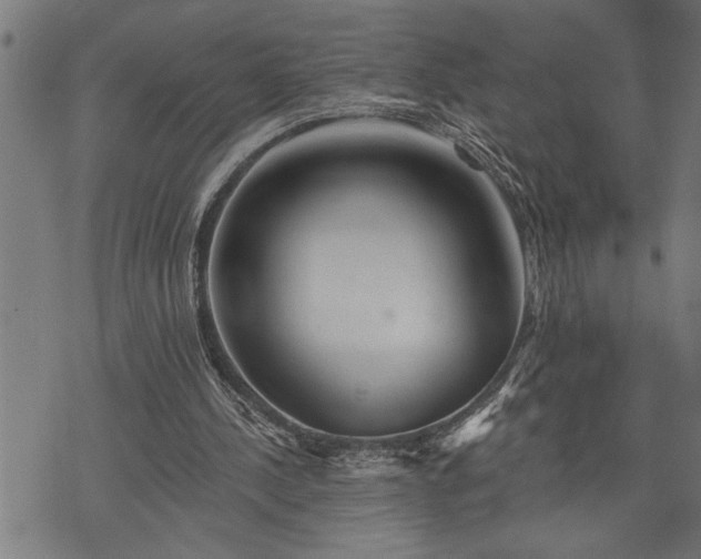 X0000075830244200609221647