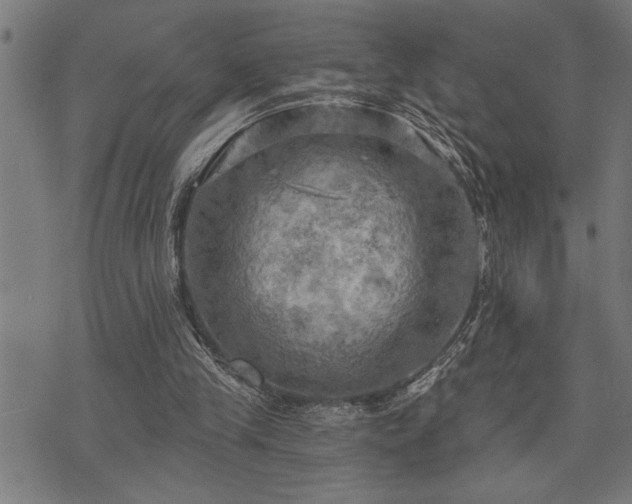 X0000075830245200609221647