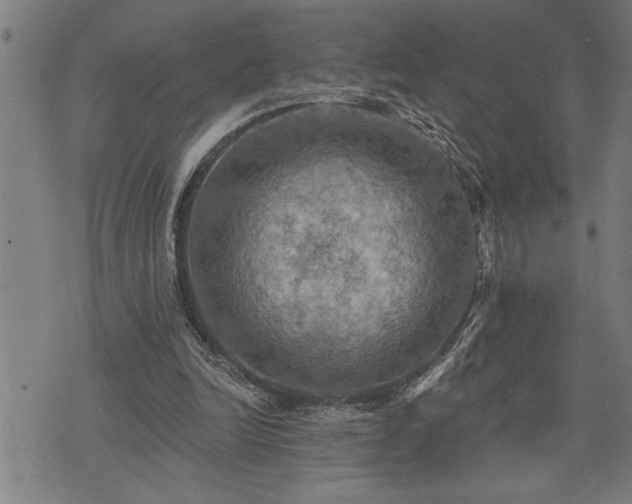 X0000075830246200609221647