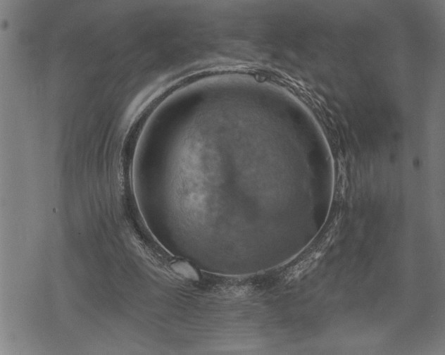 X0000075830247200609221647