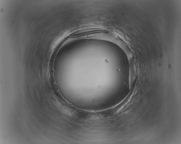 X0000075830248200609221647