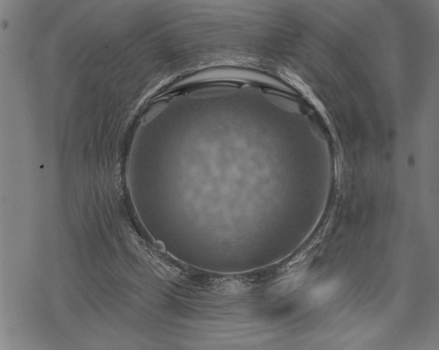 X0000075830249200609221647