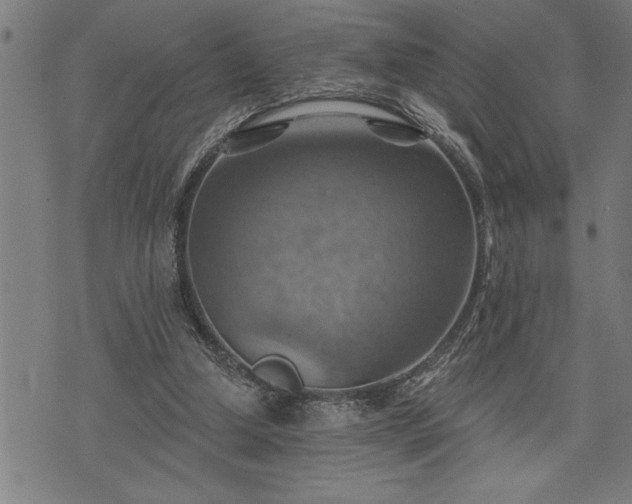 X0000075830250200609221647