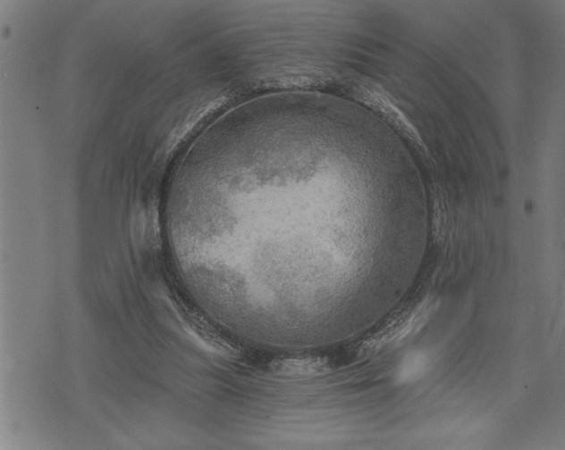 X0000075830251200609221647