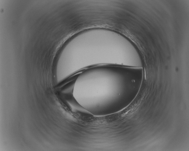 X0000075830252200609221647