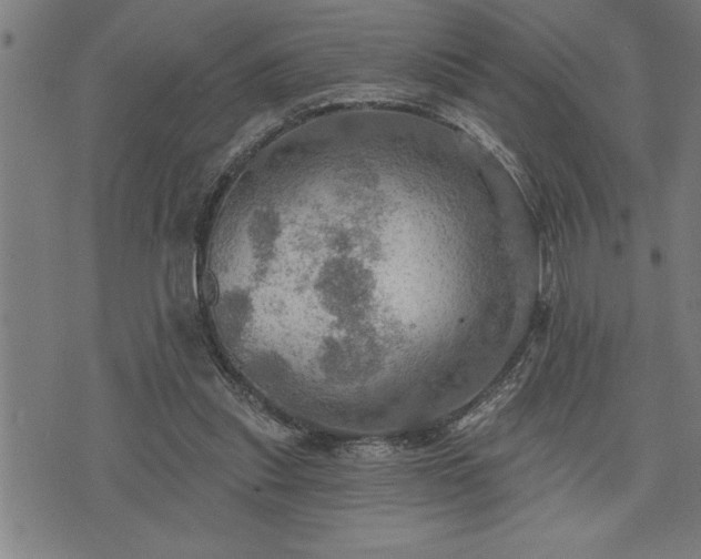 X0000075830253200609221647