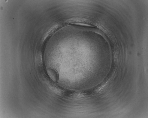 X0000075830254200609221647