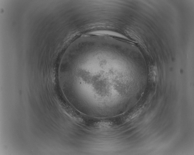 X0000075830255200609221647