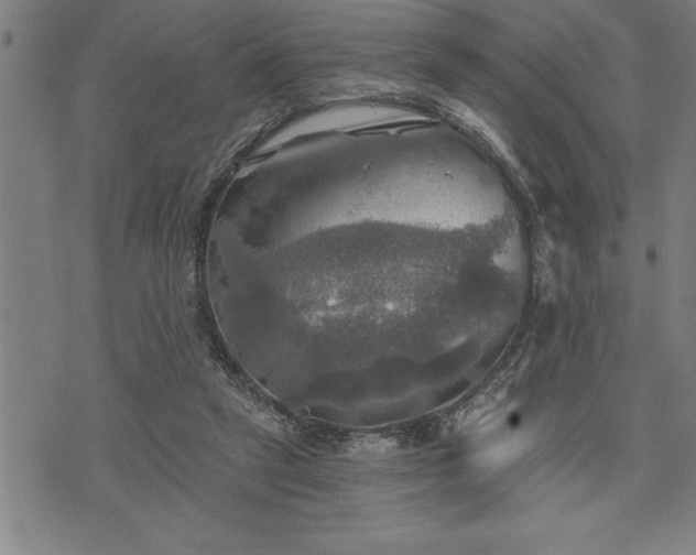 X0000075830257200609221647