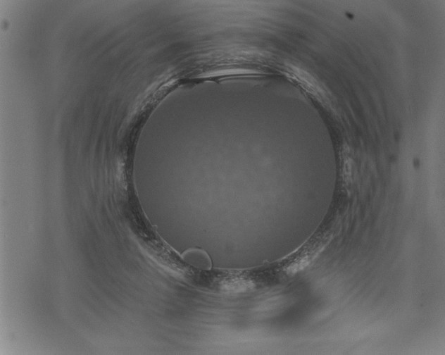 X0000075830258200609221647