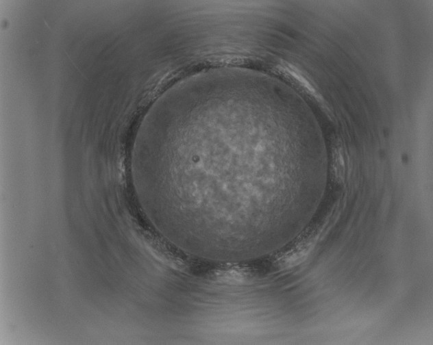 X0000075830259200609221647