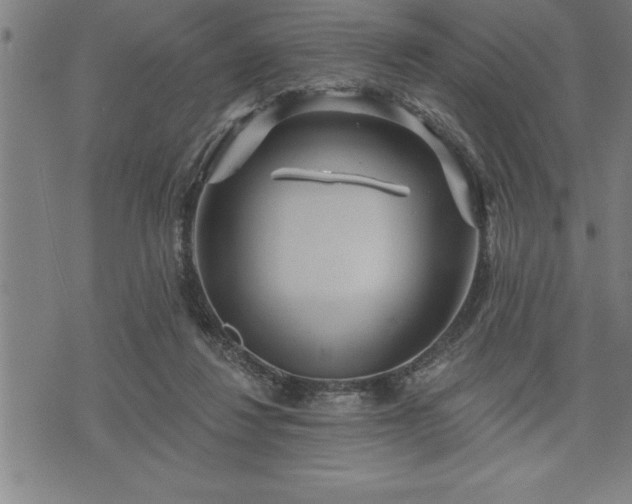 X0000075830260200609221647