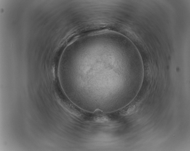 X0000075830262200609221647