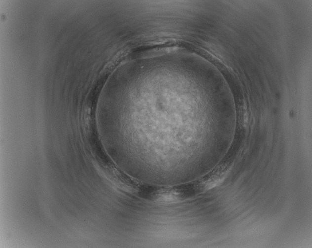 X0000075830263200609221647