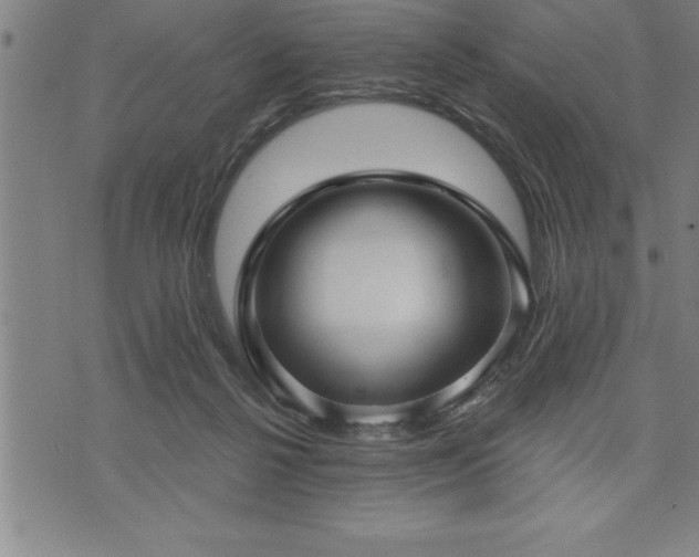 X0000075830264200609221647