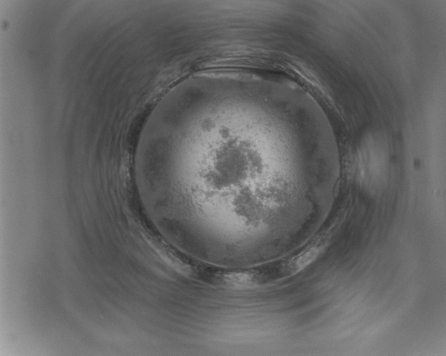 X0000075830265200609221647