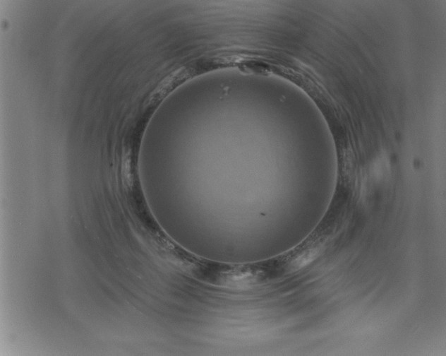 X0000075830267200609221647