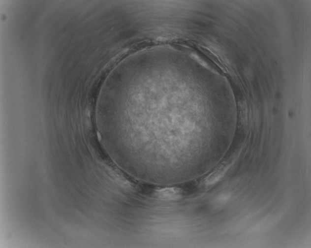 X0000075830269200609221647