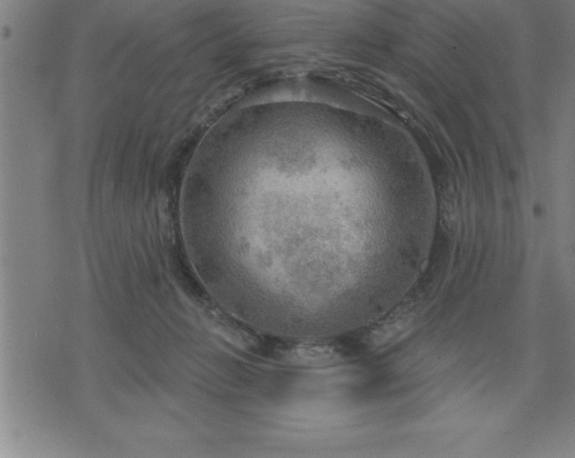 X0000075830270200609221647