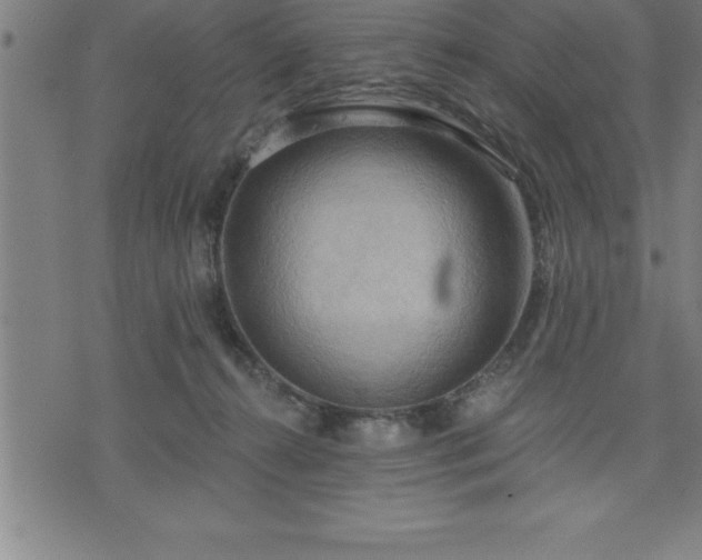 X0000075830272200609221647