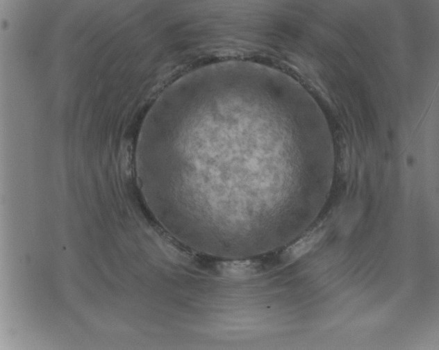 X0000075830273200609221647