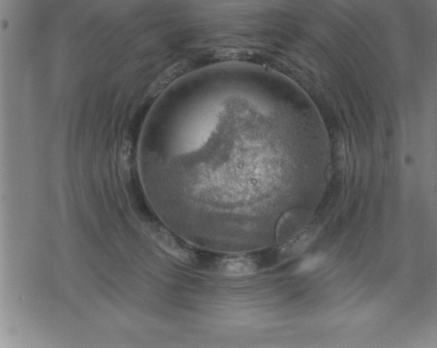 X0000075830275200609221647