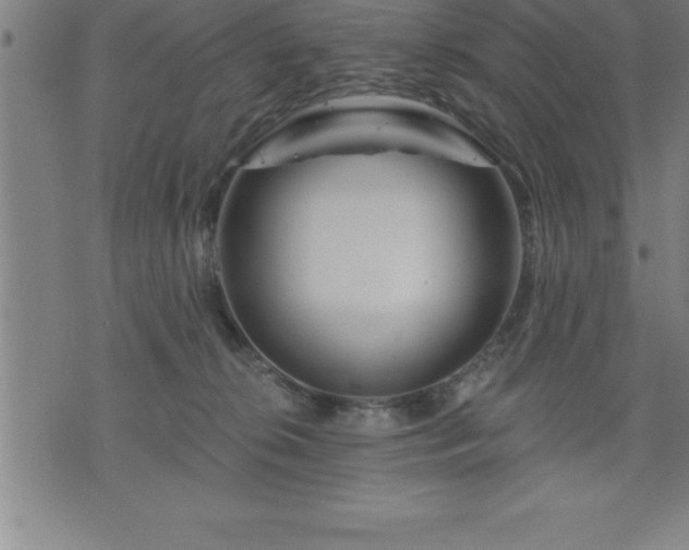 X0000075830276200609221647