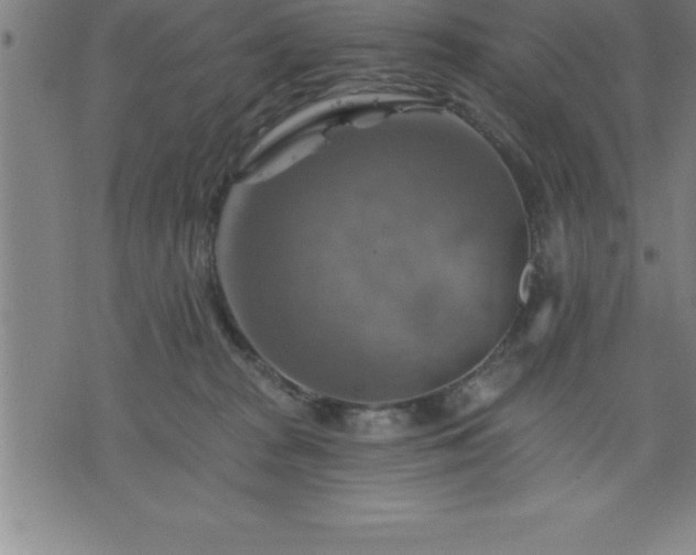 X0000075830277200609221647