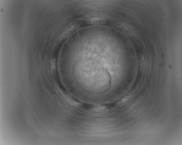 X0000075830278200609221647