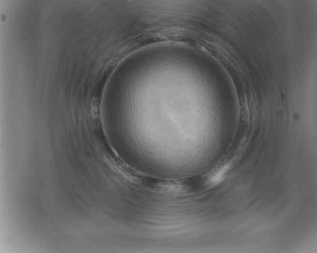 X0000075830284200609221647