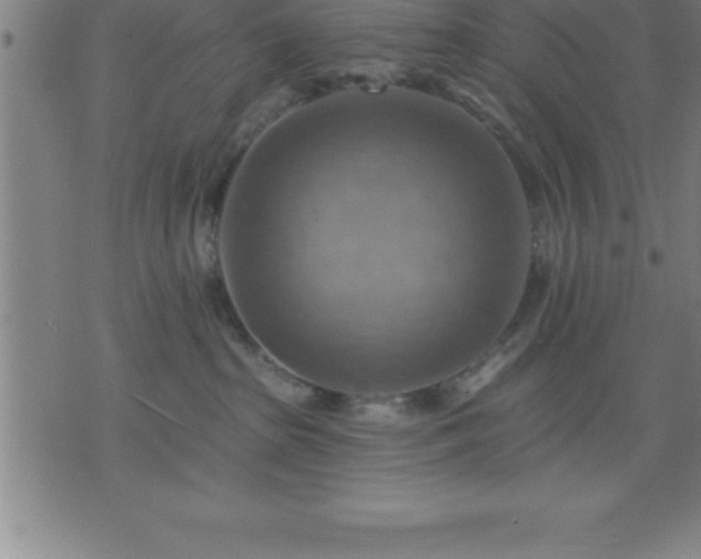 X0000075830285200609221647