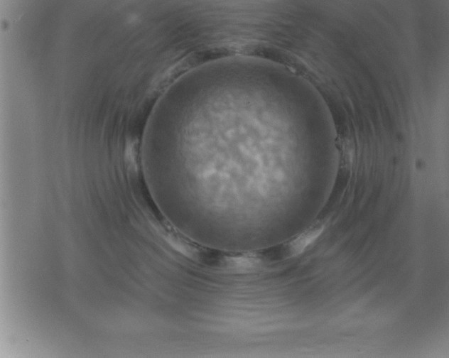 X0000075830286200609221647