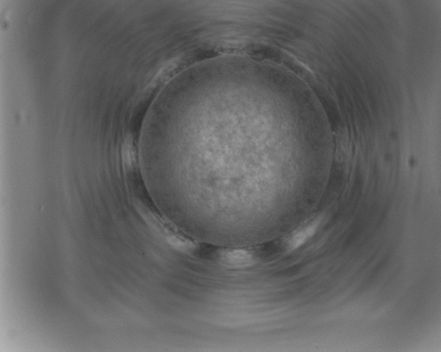 X0000075830287200609221648