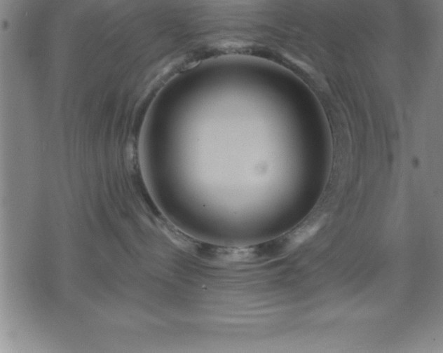 X0000075830288200609221648