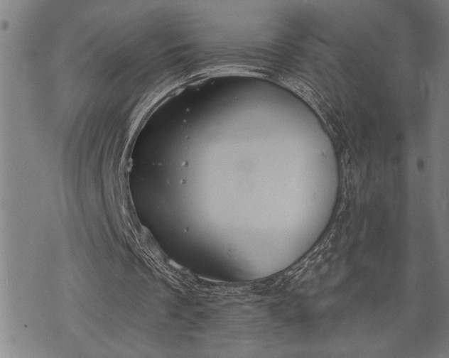 X0000075830289200609221647