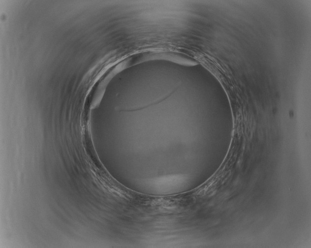 X0000075830290200609221647