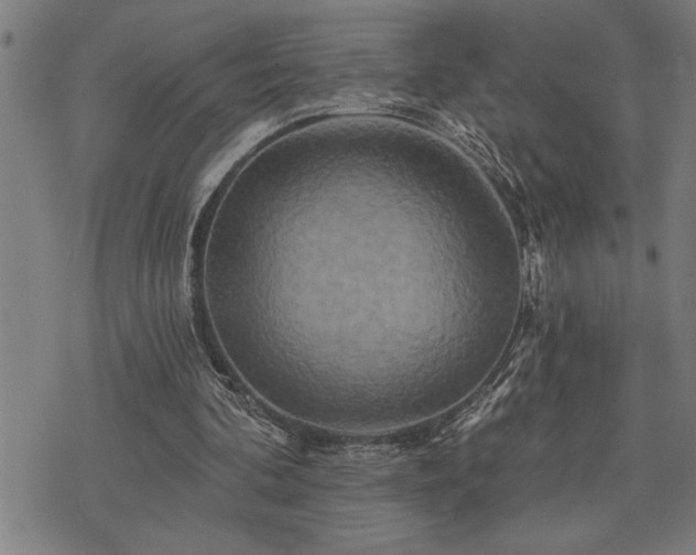 X0000075830292200609221647