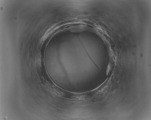 X0000075830295200609221647