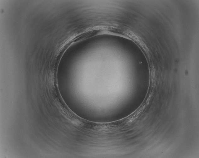 X0000075830297200609221647