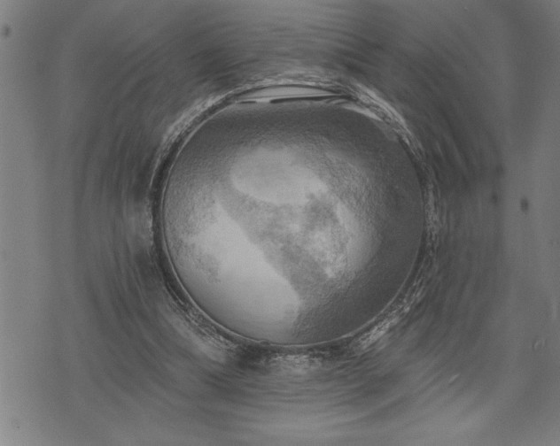 X0000075830298200609221647