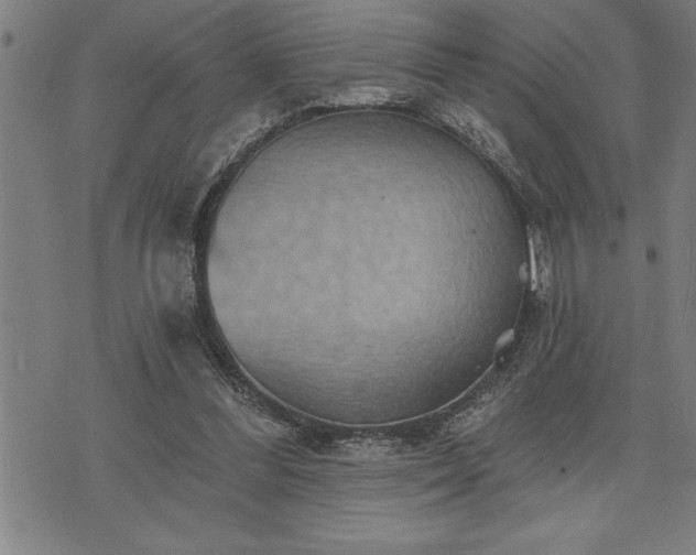 X0000075830300200609221647