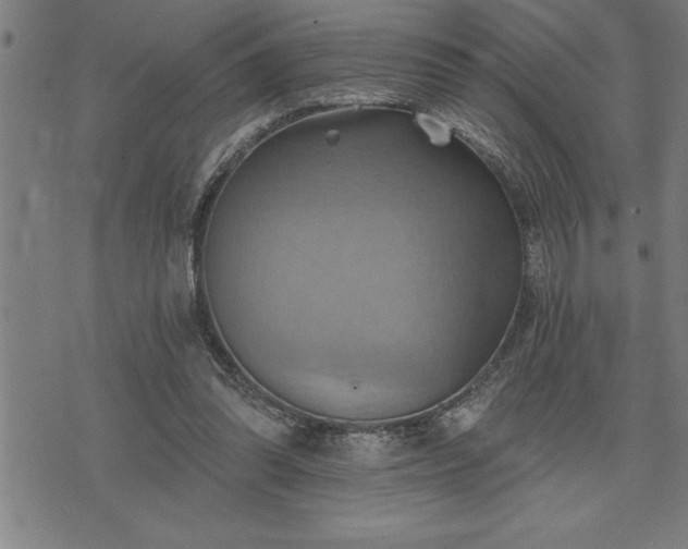 X0000075830302200609221647