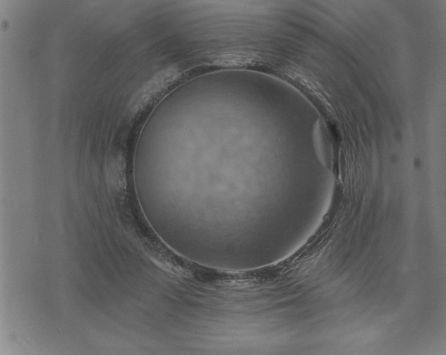 X0000075830303200609221647