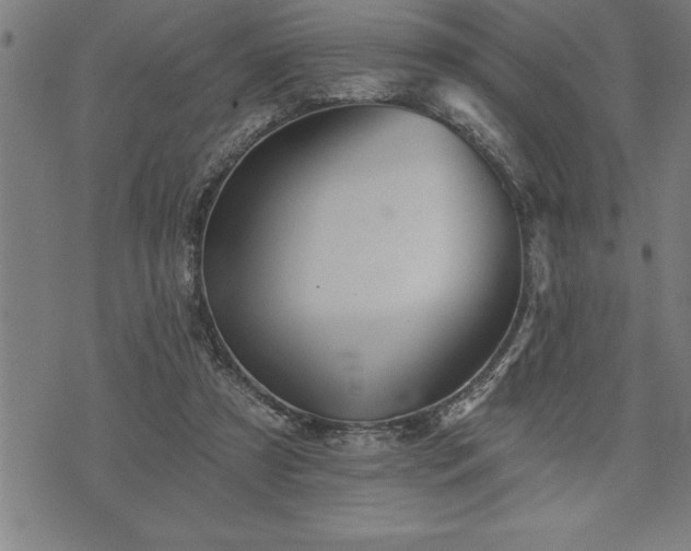 X0000075830305200609221646