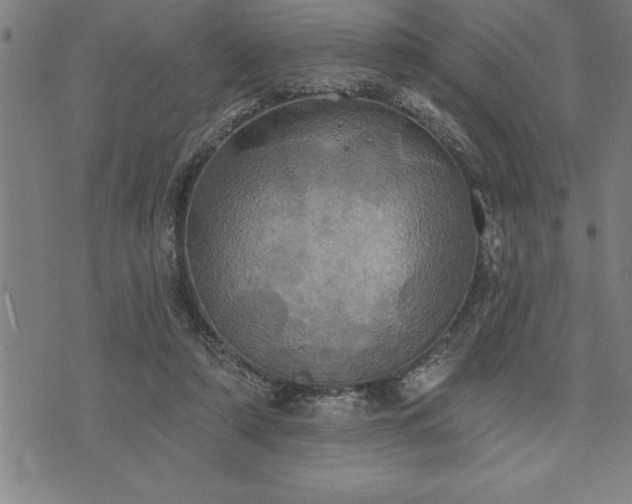 X0000075830306200609221646