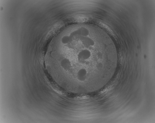 X0000075830307200609221646