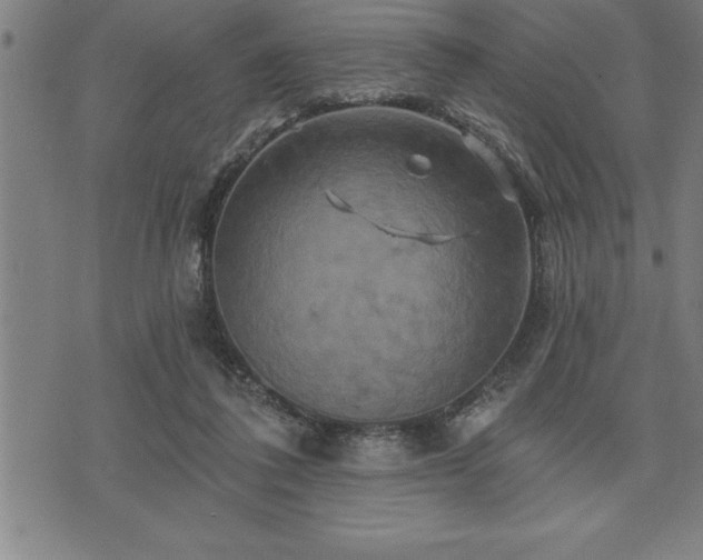 X0000075830308200609221646