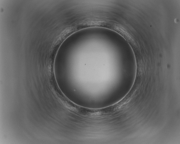 X0000075830309200609221646