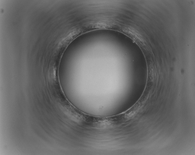 X0000075830310200609221646